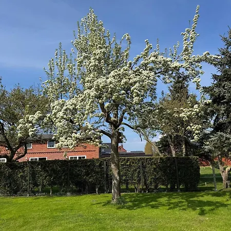 Apartment Bauernhuus 4