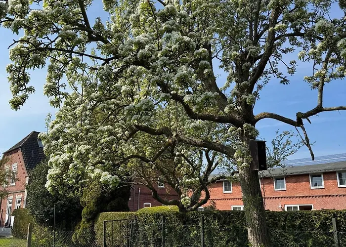 Bauernhuus 4 Appartement Fehmarn