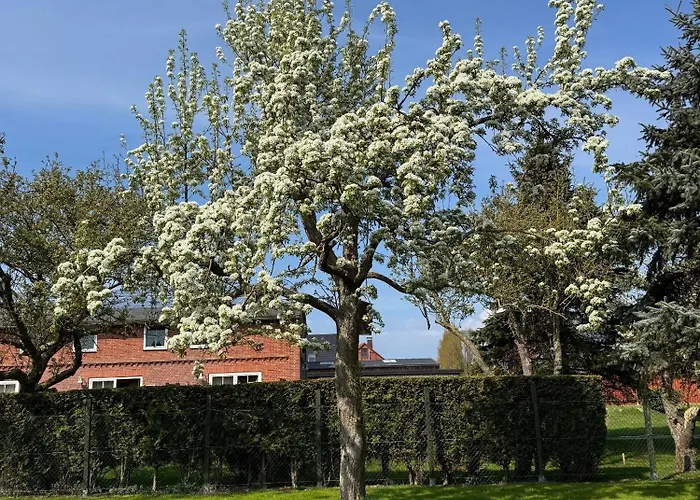 Appartement Bauernhuus 4