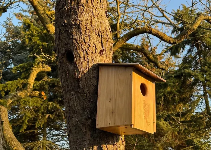 Appartement Bauernhuus 4 Fehmarn